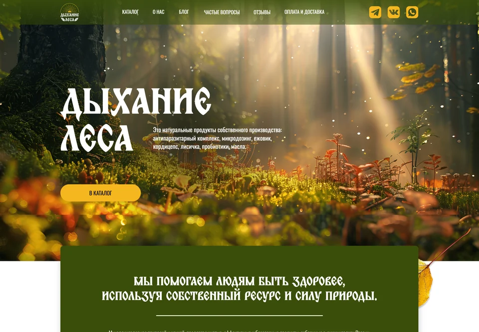 Homepage of dihanielesa.ru