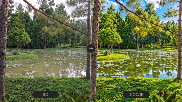 Pond landscape — Before and after editing
