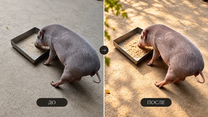 Animal photograph — Before and after editing